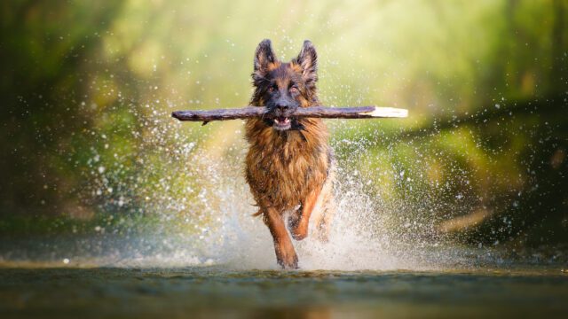 WM-AdobeStock_282485674